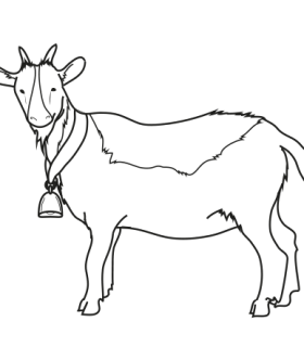 بز