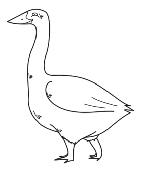 اردک