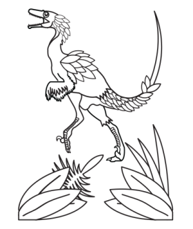 تولد